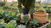 October Isn’t Too Late To Plant – These 10 Vegetables Deliver Harvests Through Fall And Beyond