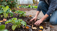 The 4 Types Of Plants You Should Mulch In October – And The Ones That Don't Need It