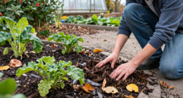 The 4 Types Of Plants You Should Mulch In October – And The Ones That Don't Need It