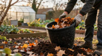 The Clever Secret To Speed Fall Leaves Into Free Compost By Spring