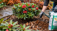 What To Do With Azaleas And Rhododendrons In Fall – 7 Winter Prep Tips To Protect Next Spring's Blooms